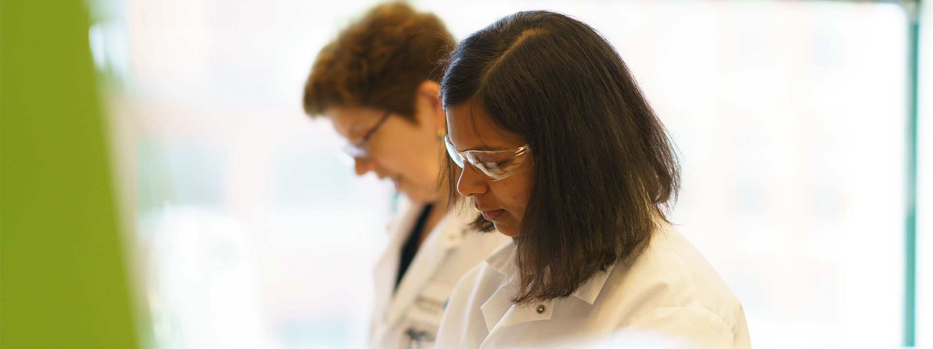 Gemini Scientists